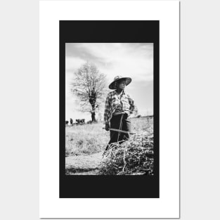 Portrait of Female Burmese Farmer at Work in Field Posters and Art